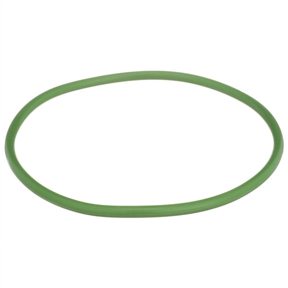 Delphi Fuel Pump Tank Seal