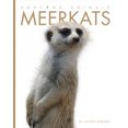 thumbnail image 2 of Meerkats (Amazing Animals), 2 of 2
