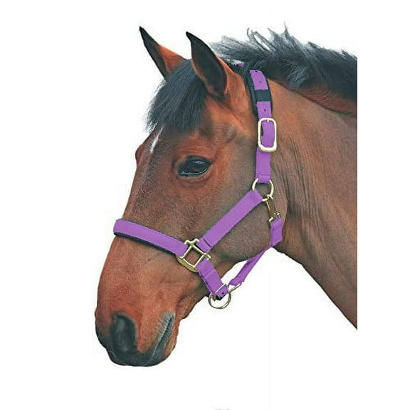 Shires Topaz Leather Breakaway Nylon Halter Purple XFull