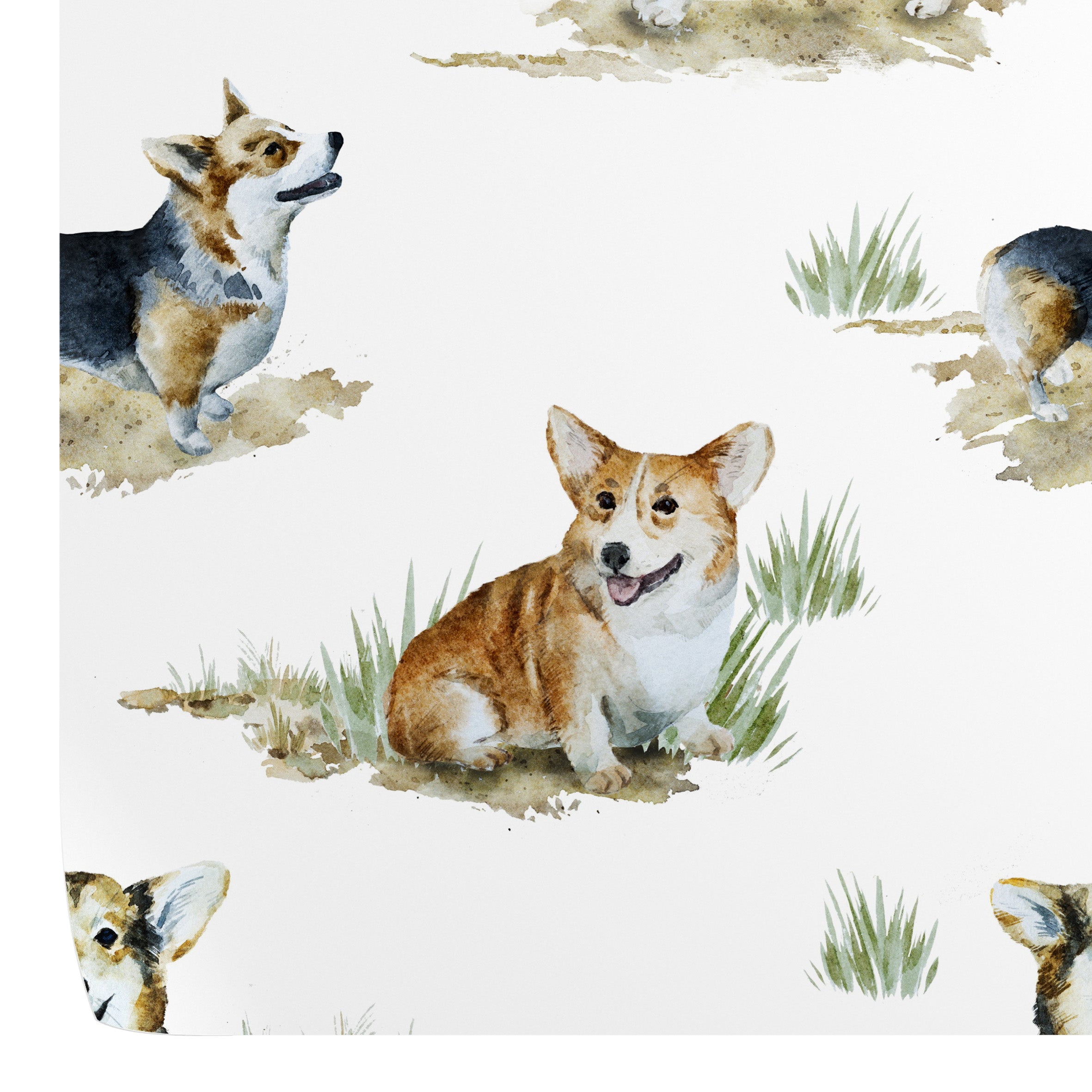 Corgi Wallpaper