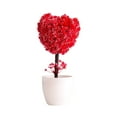 thumbnail image 1 of ONFD LUXLEVO Heart Shaped Bonsai Mini Potted For Home Desk White Small Ornamental Tabletop, 1 of 5
