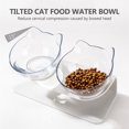 thumbnail image 5 of Bowl Doble Inclinado para Mascotas, Diseño Ergonómico para Cuidar la Columna Vertebral de Gatos y Perros, Hecho de Plástico Transparente de Alta Durabilidad, Incluye Bolsa OPP para Almacenamiento., 5 of 5