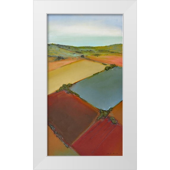 Bradshaw, Don 15x24 White Modern Wood Framed Museum Art Print Titled - Aerial 15