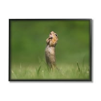 Stupell Industries O Sole Mio Funny Animal Animals & Insects Photography Black Framed Art Print Wall Art, 14 x 11