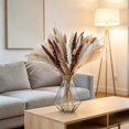 thumbnail image 4 of Dried Pampas Grass Decor Set – Faux Bunny Tails and Pampas Grass Bundle for Boho Home Table Wedding Farmhouse Party Decoration, 4 of 6