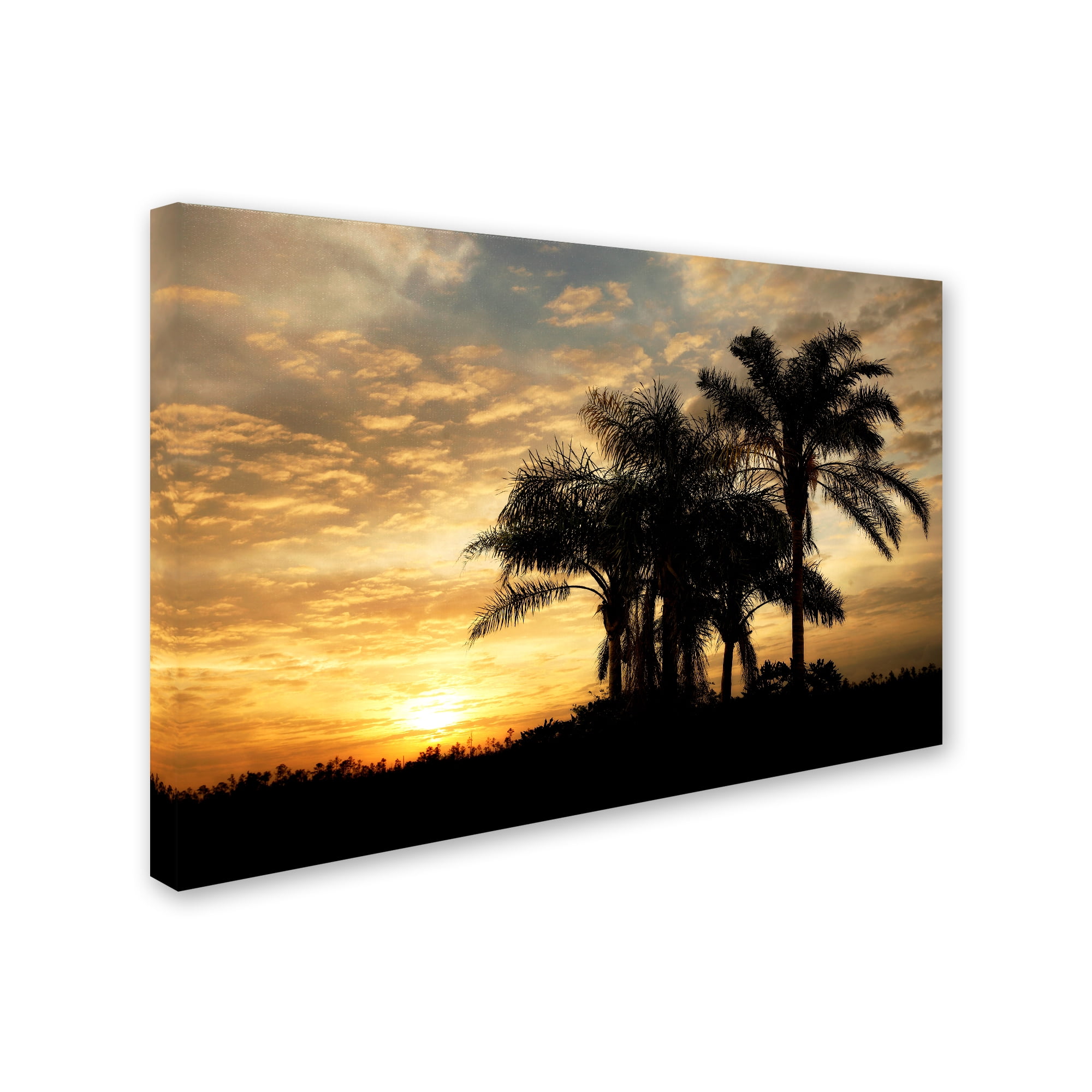Trademark Fine Art 'Everglades Sunrise' Canvas Art by Mike Jones Photo