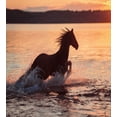 thumbnail image 3 of Animal Duvet Cover Set, Horse Sea at Sunset Time Horizon Speed Exotic Nature Animal Picture Art, Decorative 3 Piece Bedding Set with 2 Pillow Shams, Queen Size, Salmon Dark Brown, by Ambesonne, 3 of 3