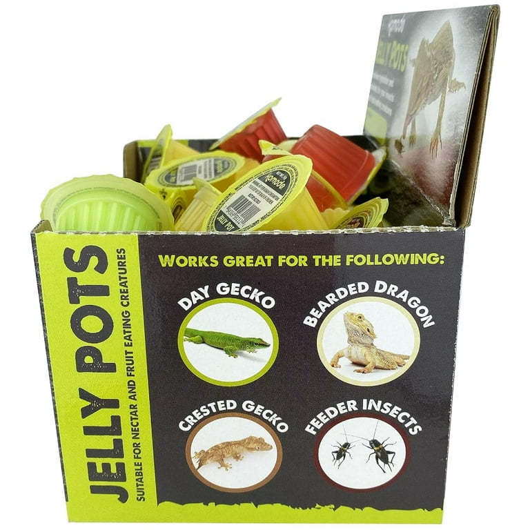 Fruit Jelly Gecko Jelly Pots Komodo Mixed Fruit Jelly Pots