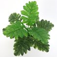 thumbnail image 4 of Naiovety Planta Artificial Hojas Boda Fiesta Evento Tela de Seda Hoja Hogar Oficina Planta Decoración Plantas Artificiales, 4 of 6