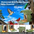 thumbnail image 4 of Comedero inteligente para aves Homiefans con cámara solar con IA 2.5K HD, 4 of 9