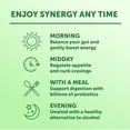 thumbnail image 5 of Synergy Trilogy Kombucha 48 fl oz, 5 of 7