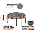 thumbnail image 4 of Trampolín Fitness Profesional Premium Altera Compacto 30 Ligas 150Kg, 4 of 8
