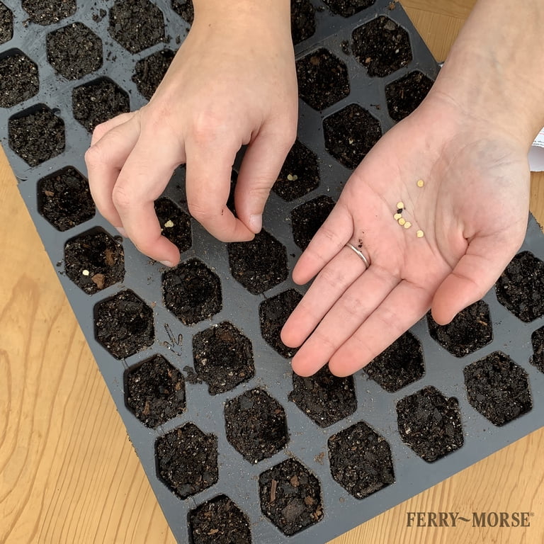 Ferry Morse Pro-Hex Seed Starting Tray 72 Cells - Reusable Plastic