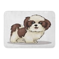 thumbnail image 1 of SIDONKU Beige Shitzu Shih Tzu Dog Pet Adorable Puppy Grooming Furry Doormat Floor Rug Bath Mat 23.6x15.7 inch, 1 of 1