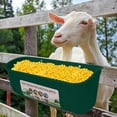 thumbnail image 3 of Automatic Feeders Chicken and Goat Hanging Fence Feeder for Deer Dog and Piglet - Convenient Trough with Clips for Poultry and Livestock Feeding, 3 of 3