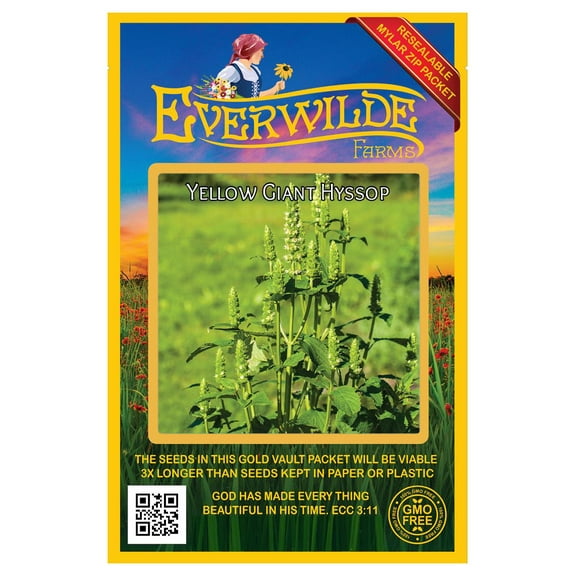 Everwilde Farms - 1000 Yellow Giant Hyssop Native Wildflower Seeds - Gold Vault Seed Packet