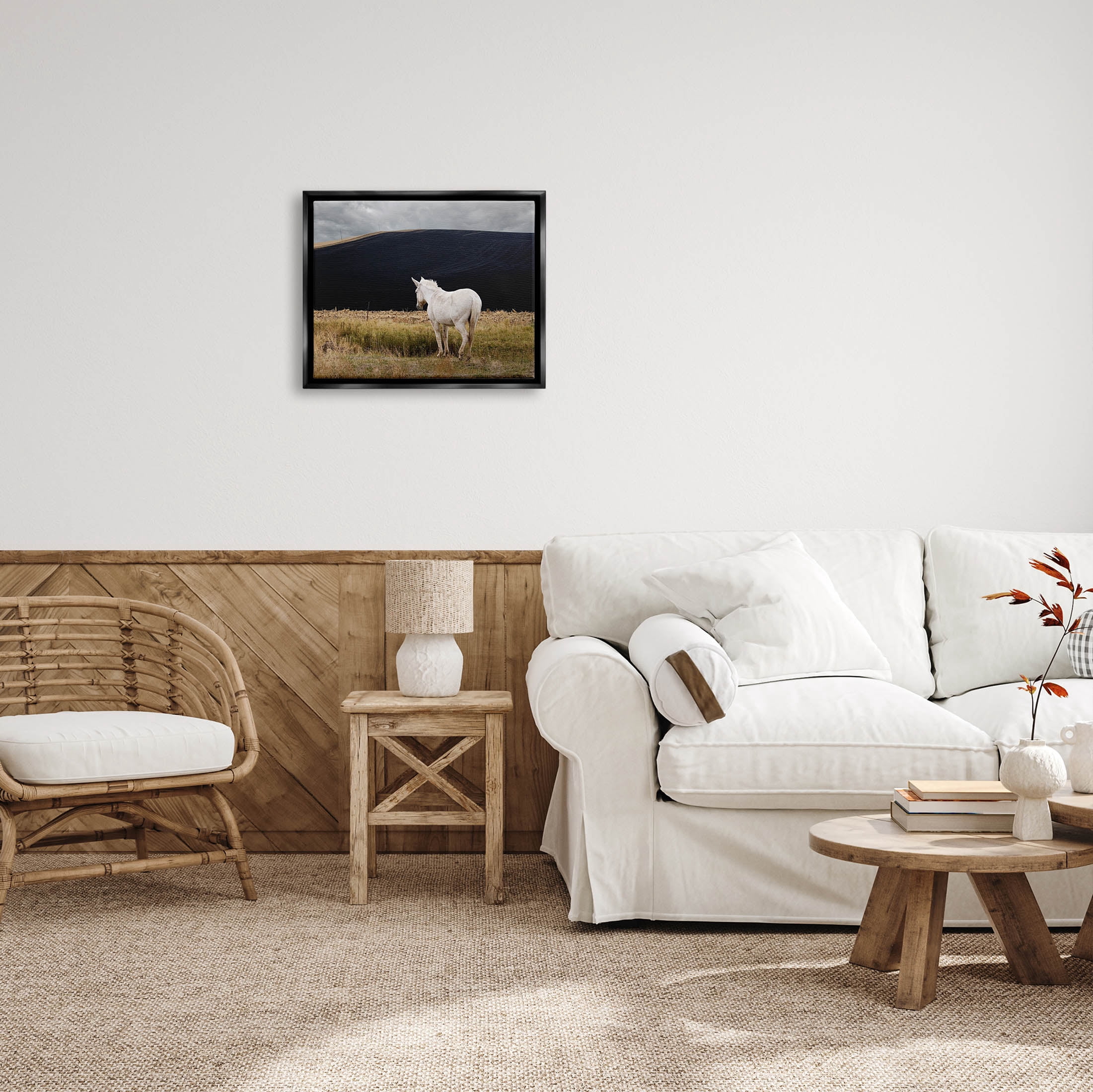 Stupell Industries Lone White Horse Vast Country Pasture Photograph Jet Black Floating Framed Canvas Print Wall Art, Design by David Lorenz