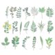 thumbnail image 1 of Calcomanías de flores de vinilo transparentes, calcomanías de flores claras de PET para álbum de recortes, 80 hojas verdes, 1 of 6