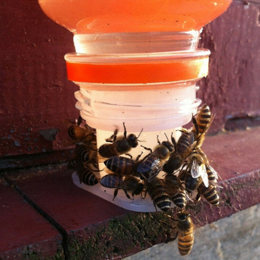 Beekeeping Nest Drinking bee Water Feeder Beekeeper Cup Entrance Beehive 