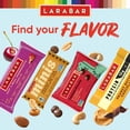 thumbnail image 6 of Larabar Peanut Butter Chocolate Chip, Fruit and Nut Bars, Gluten Free, 6 Count, 9.6 oz, 6 of 13