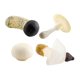 thumbnail image 1 of 4 piezas modelo de seta artificial cognición juguete adornos accesorios Mini figuritas Blanco perfke Estatuas en miniatura, 1 of 9