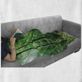 thumbnail image 6 of Forest Soft Flannel Fleece Throw Blanket, Sun Rays Bursting into the Forest Trees Foliage Misty Morning Serenity Picture, Cozy Plush for Indoor and Outdoor Use, 70" x 90", Green White, by Ambesonne, 6 of 6