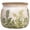 Cottage Fern, variant on Vintage Floral Pots, Ceramic Garden Pots with Drainag