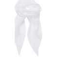 thumbnail image 1 of Premier Foulard en Mousseline Multicolore pour Adulte, 1 of 2