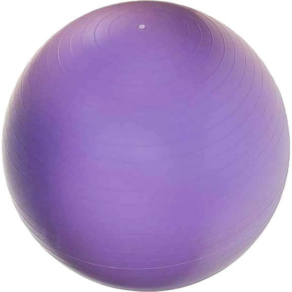 JFIT Stability Ball