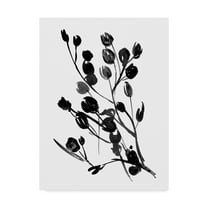 Trademark Fine Art 'Expressive Floral I' Canvas Art by Melissa Wang