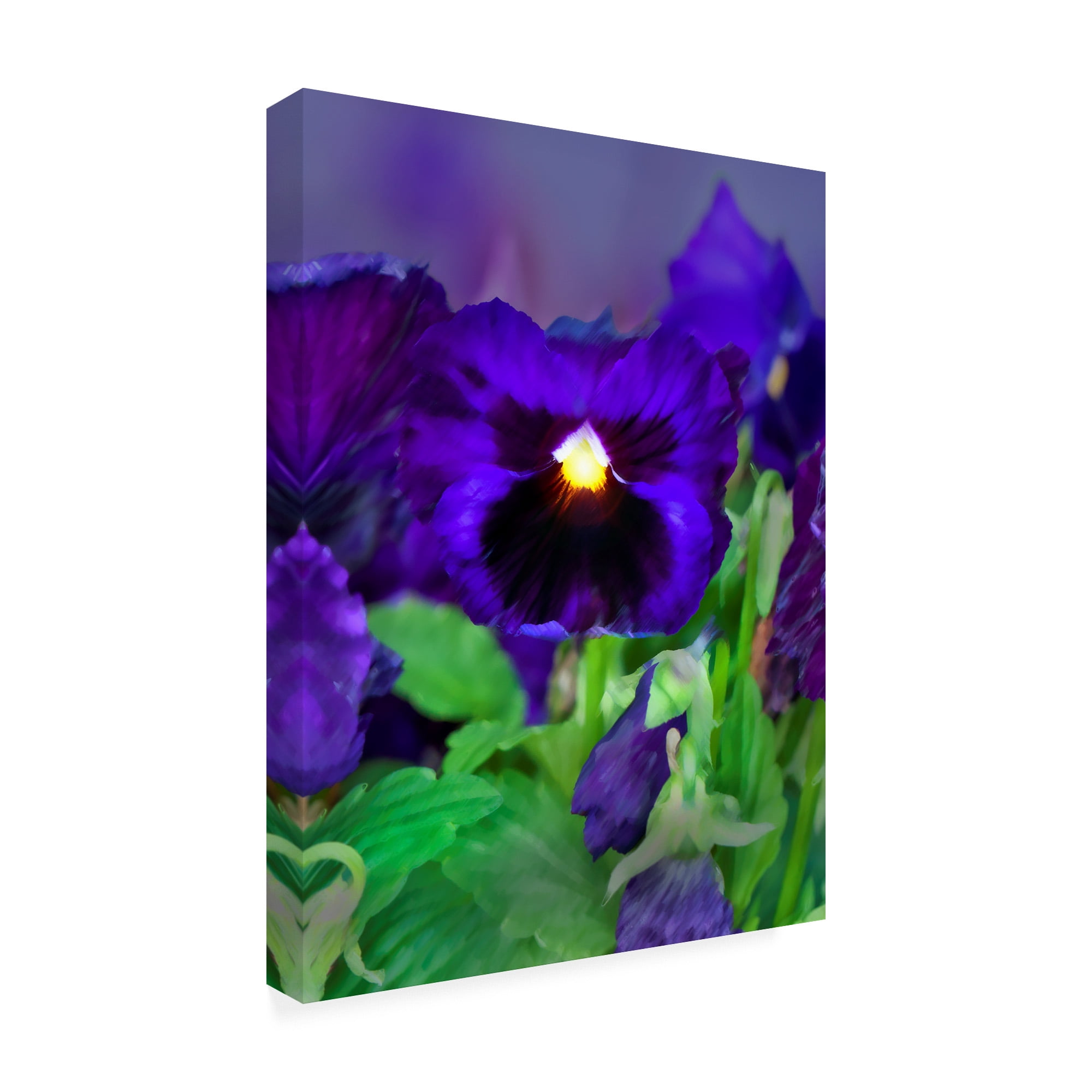 Trademark Fine Art 'African Pan Orchid' Canvas Art by Dana Brett Munich