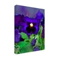 thumbnail image 2 of Trademark Fine Art 'African Pan Orchid' Canvas Art by Dana Brett Munich, 2 of 3
