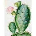 thumbnail image 1 of Pintura de diamante (DB3175) 5D DIY Cactus cuadrado Kit de bordado de punto de cruz 40x50cm Hugtrwg Para estrenar, 1 of 1