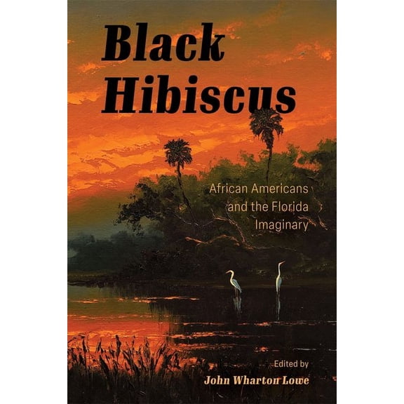 Black Hibiscus: African Americans and the Florida Imaginary, (Hardcover)