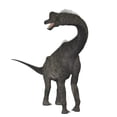 thumbnail image 2 of Brachiosaurus dinosaur Poster Print, 2 of 2