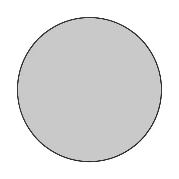 Leia 36 in. Round Mirror