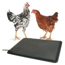 DyGTyX 100213019 Thermo Coop Heated Pad for Chickens & Peeps, Chew Resistant, Small (12.5" x 18.5"), Black