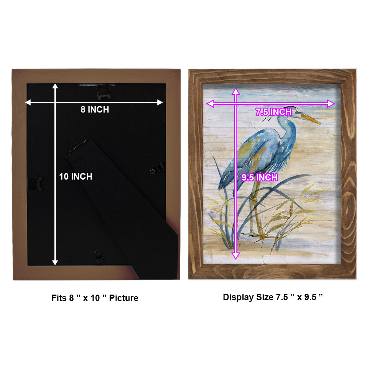Blue Heron I -Framed Print w/glass-Walnut