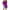Purple, variant on Cethrio Big Girls T Shirts, Casual Crewneck Solid Color Short Sleeve Summer Tops Beige Size 9-10 T
