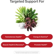 Snap Supplements Testosterone Support with Tongkat Ali and D-Aspartic Acid, 60 Capsules, Adult Dietary Supplement, Easy-to-Use Capsule Format, For supports male vitality, energy and stamina