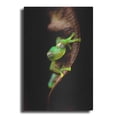 thumbnail image 1 of Luxe Metal Art 'Frog Portrait' by Thomas Haney, Metal Wall Art, 12"x16", 1 of 9