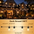thumbnail image 6 of DAYBETTER S14 Outdoor String Lights, 100FT(2*50FT) Waterproof Hanging Lights, with 30 Shatterproof Edison Bulbs, for Garden, Patio, 6 of 7