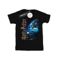 thumbnail image 1 of Harry Potter Boys Smiles At Hogwarts T-Shirt, 1 of 3