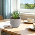 thumbnail image 5 of Artificial Potted Plants, Fake Plastic Plants with White Pots, Small Flower Arrangement for Home Office Table Decor, 5 of 6