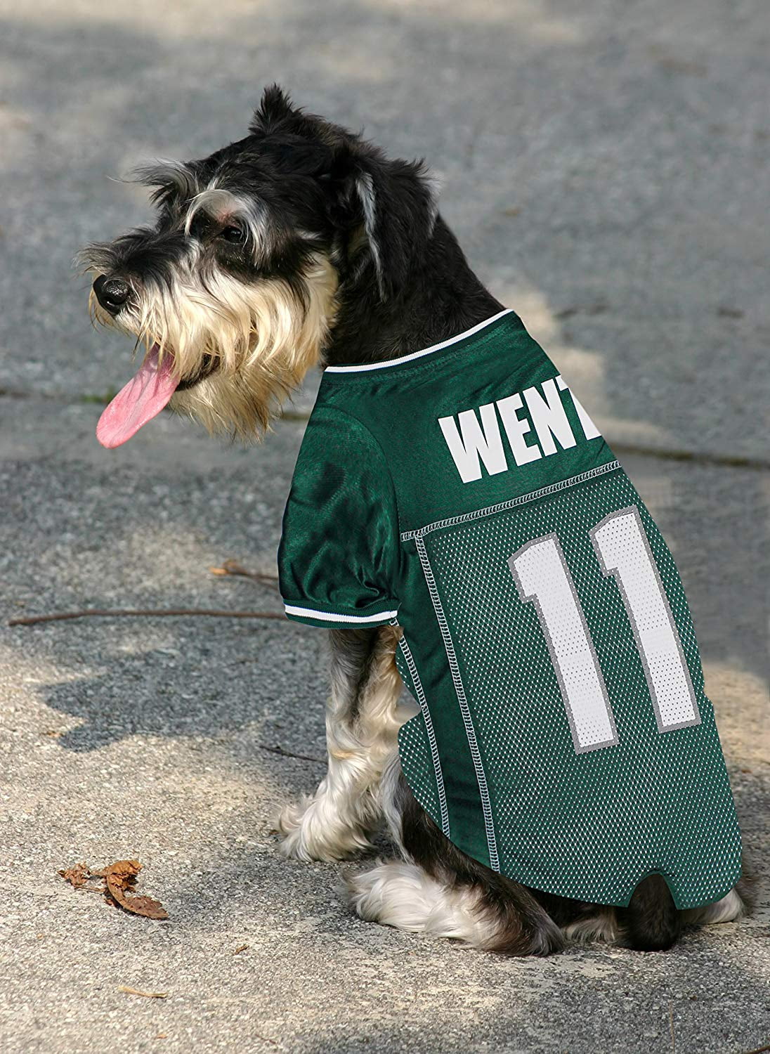 Carson wentz pet jersey Clearance