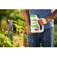 thumbnail image 6 of Osmocote 277860 Flower and Vegetable Smart Release Plant Food Plant Fertilizer 6 Pack, 4.5 lb, 6 of 8