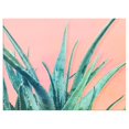 thumbnail image 1 of Ready2HangArt  'Aloe Need' Succulent Canvas Wall Art 30" W x 20" H, 1 of 5