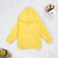 thumbnail image 3 of Kids' Hooded Sweatshirt Full Zip Casual Hoodies Jacket with Pockets Toddler Boys Girls Basic Outerwear 0-6T, 3 of 6