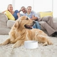 thumbnail image 1 of Hearth & Gear Ceramic Pet Bowls For Cats & Dogs – Custom Photo And Text Design Shallow Cat Dish Small Slow Feeder Cat Bowl Insert Silicone Dog Bowl Dog Bowls for Medium Dogs Dog Slow Feeder Insert Dog, 1 of 5