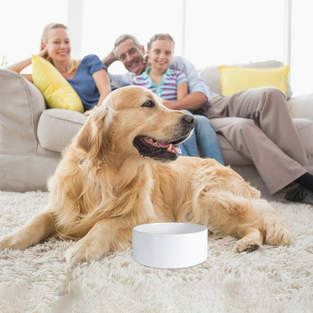 Hearth & Gear Ceramic Pet Bowls For Cats & Dogs – Custom Photo And Text Design Shallow Cat Dish Small Slow Feeder Cat Bowl Insert Silicone Dog Bowl Dog Bowls for Medium Dogs Dog Slow Feeder Insert Dog